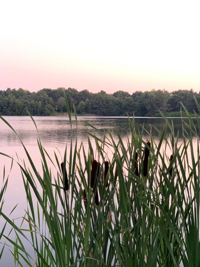 Ferienhaus Seeblick Am Harkebruegger See Mit Sauna Und Kamin Barssel  Exteriér fotografie